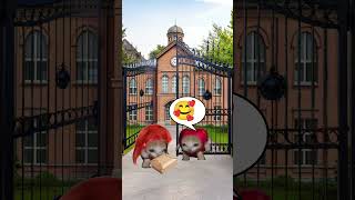 Baby banana cat kindness & apple cat mom brings lunch 🐱❤️ #catmemes #cat #shorts #fyp #bananacat