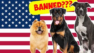 25 Dog Breeds Banned in the U.S.A.