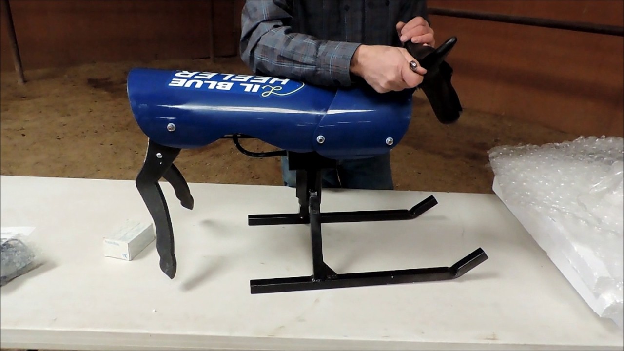 Lil Blue Heeler Roping Dummy - YouTube