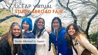 Study Abroad in Japan