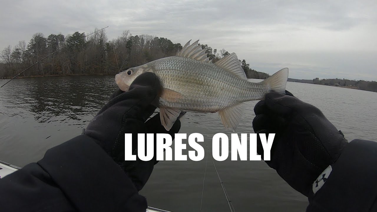 Winter White Perch Fishing
