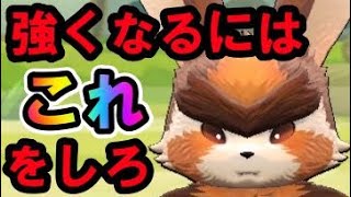 自前はSRのみ！！初心者向けガチ育成全ターン解説！！【LINEモンスターファーム】 screenshot 4