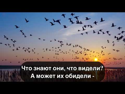 Алексей Петрухин - Гуси Текст