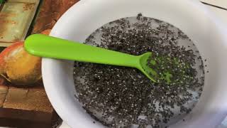 Chia Seed drink (Spanish)