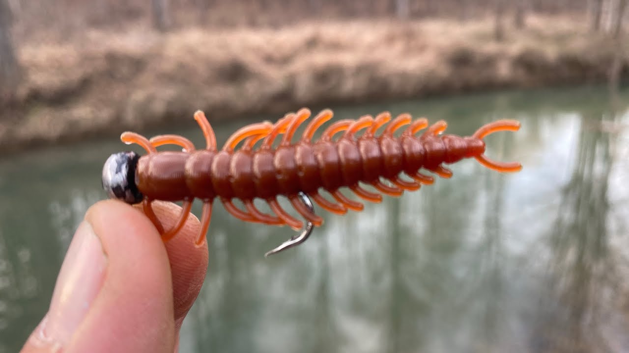 Winter creek fishing for Indiana panfish 