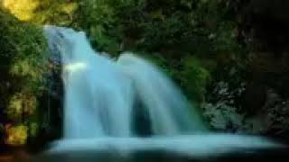 y2mate com   Sonido de agua y pajaros, estudiar, meditar, mente en blanco, pensar, sonidos relajante