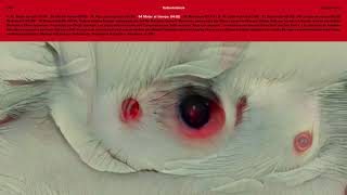 VVV [Trippin&#39;you] - Turboviolencia (Full Album)