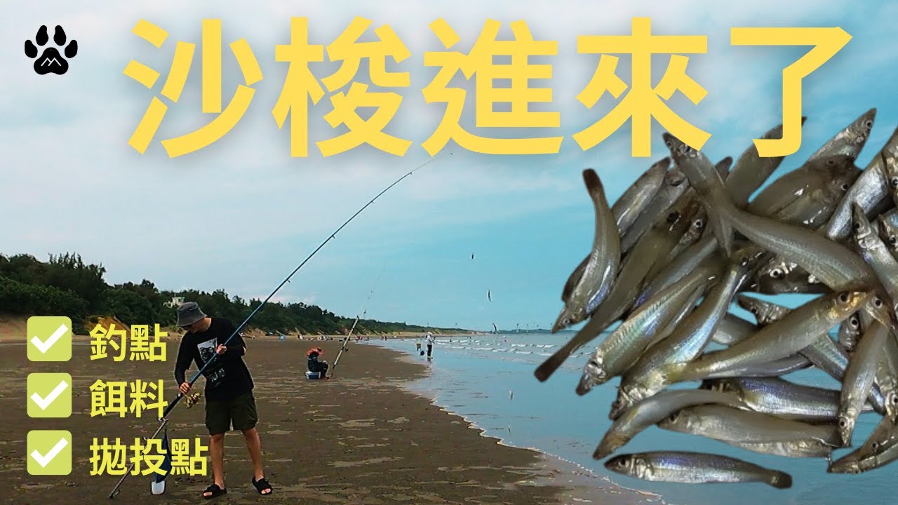 沙梭進來了!!!釣友給什麼蟲哪麼厲害!!!比較會咬喔!!!#山狗大#釣魚#fishing#台湾釣り#遠投#沉底#灘釣#沙梭