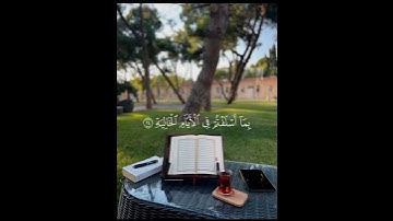 تلاوة هادئة القارئ محمد اللحيدان