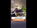 إذا كنت لا تحب الباذنجان فإنك تذوقته أول مرة من شخص لا يجيد طهيه