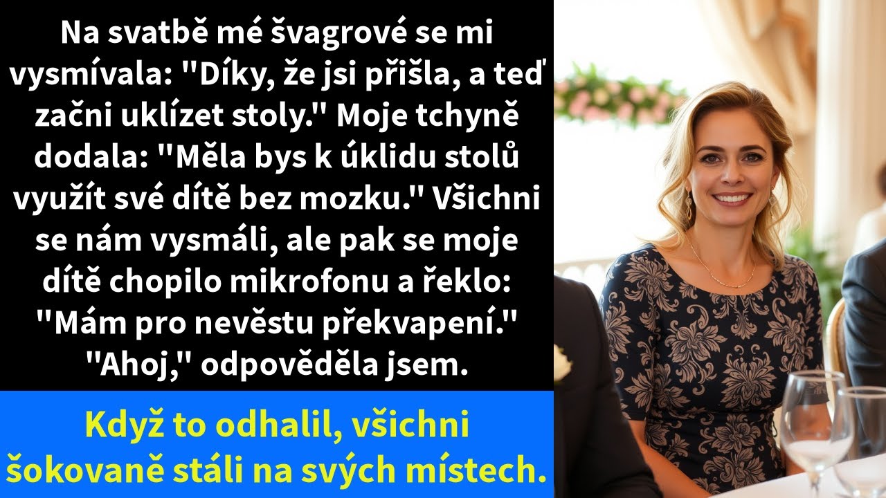 Na svatbě mé švagrové se mi vysmívala: 