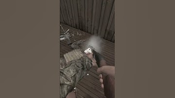 What thousands of hours of practice looks like in DayZ