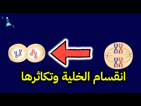 انقسام الخلية وتكاثرها علوم الصف الثالث المتوسط
