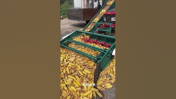 New corn threshing machine, Fully automatic corn threshing machine #natural #beautiful #agriculture