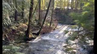 Beautiful Mill Bay River Walk from Vancouver Island Shaun and His Mum