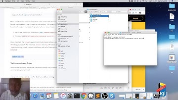 MTN API Integration part B_Please Watch me_GO LIVE
