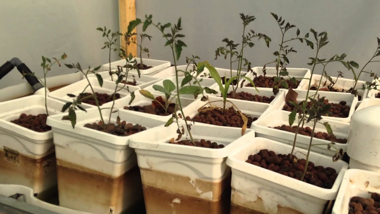 moving bed biofilter & ap update 14th march 2014 - youtube