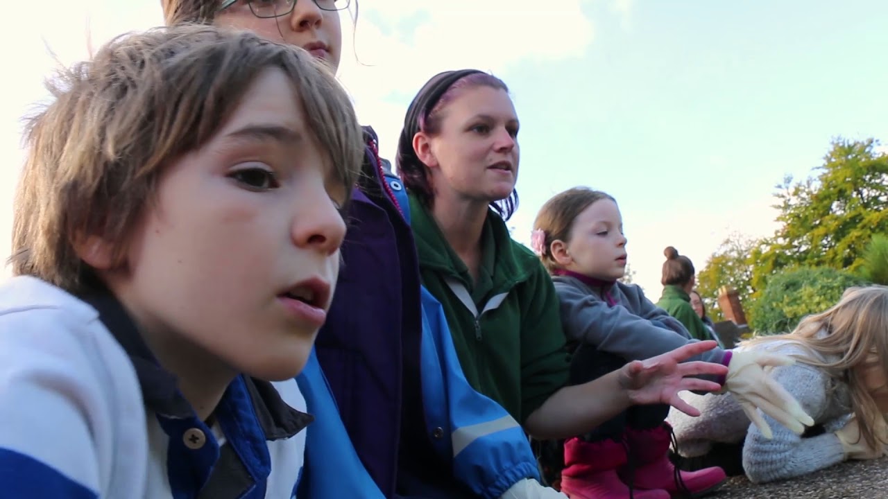 Little Zoo Keeper Experience