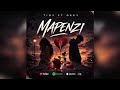 Tidy Ft Geey Mapenzi Official Music Audio