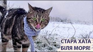 :       