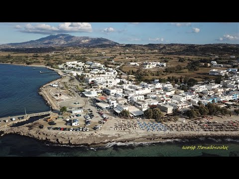 Βίντεο: Πετούνια σε γλάστρες (40 φωτογραφίες): οι καλύτερες ποικιλίες πετούνιας για κρεμαστές γλάστρες. Πώς να τα φυτέψετε σωστά; Πώς να ταΐσετε την πετούνια για άφθονη ανθοφορία