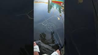 Tips dan trik memancing #tipsandtricks #unique #traditional #skills #trending