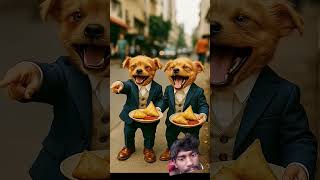 The Poor Puoppy Did Dog