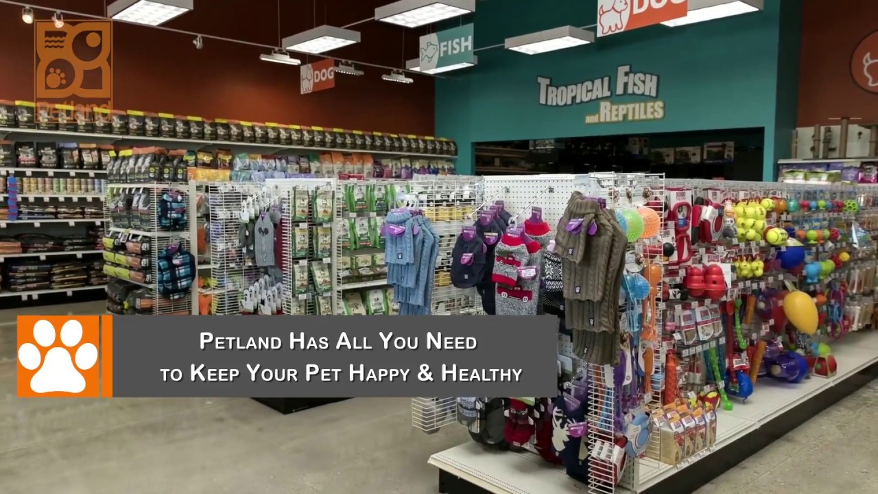Petland Keeps Your Pets Happy & Healthy