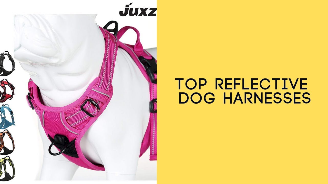 Top Reflective Dog Harnesses Best Reflective Dog Harnesses YouTube