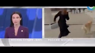 Reporter Chases Dog After Pup Steals Her Microphone Live On Camera And Takes Off