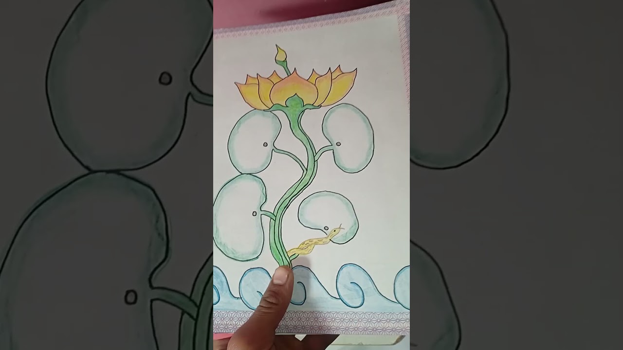 How to draw a lotus flower 🌸 with pencil colour 