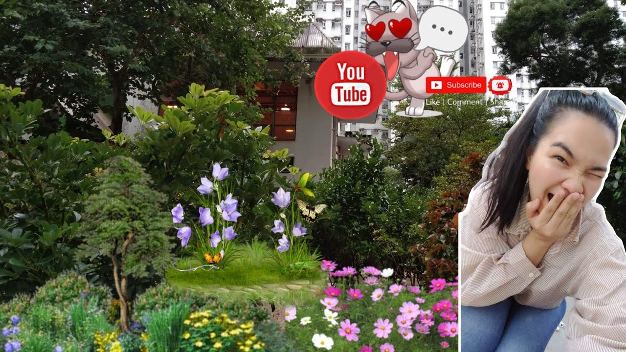 My 4 Live Stream Chevalier Garden YouTube