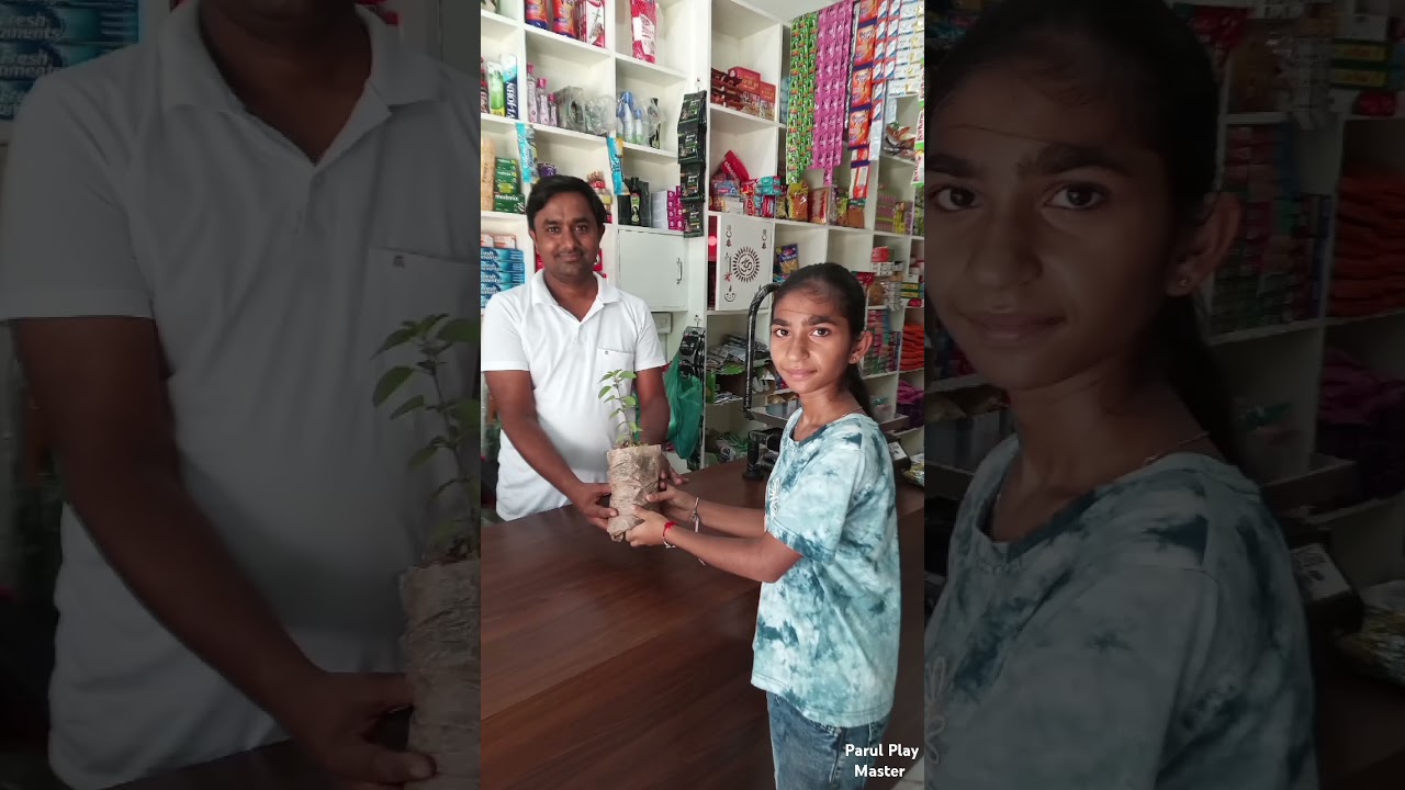 Distribution of Tulsi Plant By Me