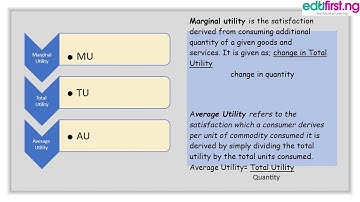 Theory of Consumer Behaviour  Part 2 | Economics | SS1 | 3rd term