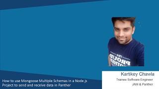 How to use Mongoose Multiple Schemas in a Node.js Project to send and receive data in #Panther