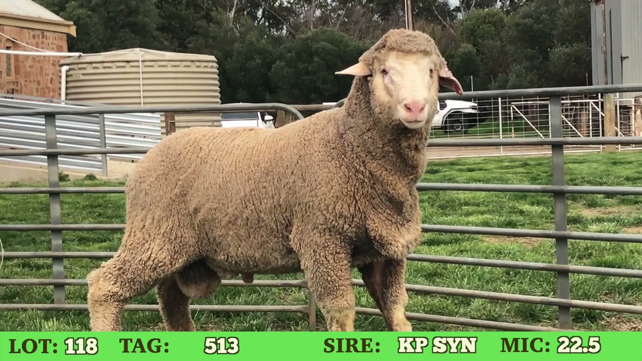 Lot 118 Greenfields On Property Ram Sale YouTube