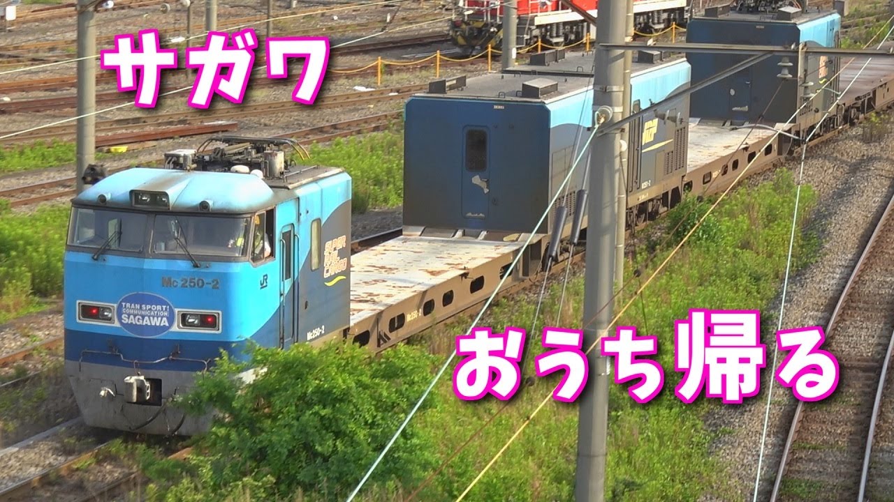 大手運送会社の専用列車が東京に到着！早朝の貨物ターミナル【スーパーレールカーゴ】【東京貨物ターミナル駅】