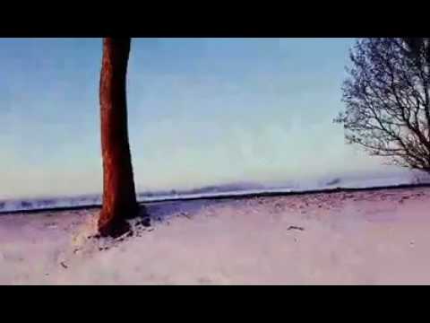 მზის ამოსვლა. გერმანია.