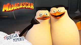 Private Saves the Day 🐧 | Penguins of Madagascar | Compilation | Mega Moments