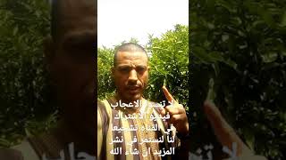 تريد معرفه احب الكلام الى الله شاهد الفيديو