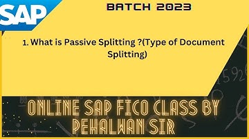 What is Passive Splitting (Type of Document Splitting) || Pehalwan Sir  @SAP ​