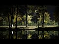 Soulful jazzy jungle dnb mix 5 (Autumn Leaves C) 166 BPM