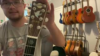 Blueridge Carter Stanley BR-1060 (is this one of the best bluegrass dreadnoughts for the money)
