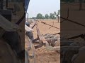 गजब का जुगाड हैरो पर लगा दी बिजाई मशीन 🚜👌 #farmingjyotivlogs #veel #kisan #tractor #farming #reels 👌