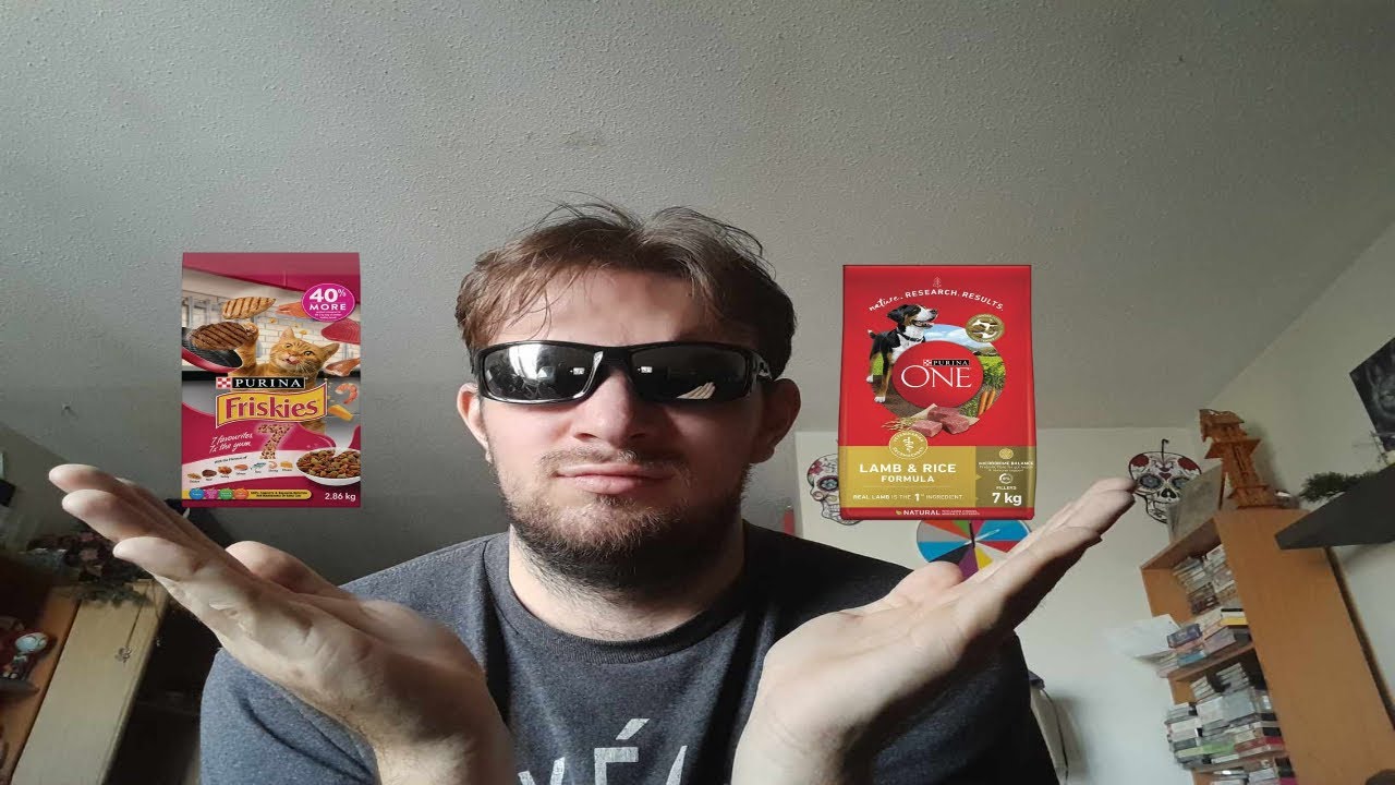 Trying Out Cat and Dog Food YouTube