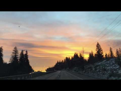 Video: Sunrise Rhubarb İstifadələri: Sunrise Rhubarb əkilməsi və yığılması