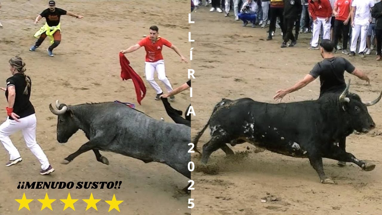 TOROS EN LLÍRIA FESTES DE SANT MIQUEL 09/10/2025