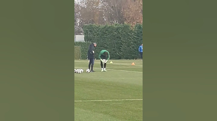 Atalanta Real Madrid: training Carnesecchi Champions League