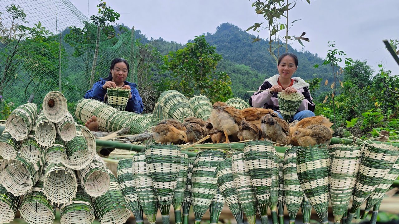 The two sisters have woven many bamboo baskets to catch stream fish ...
