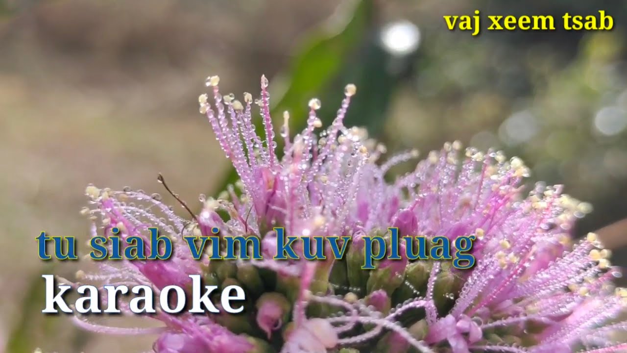 tub xyooj - tu siab vim kuv pluag karaoke 3cha ເສບສົດ